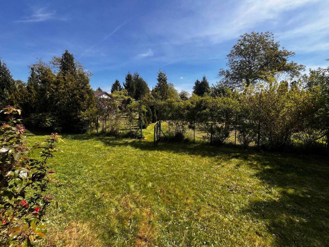 Działka rod Warszawa Paluch, ul. Działkowa. Zdjęcie 4