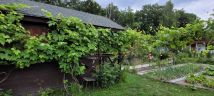 Działka rod Gliwice Kopernik, ul. Myśliwska. Zdjęcie 1