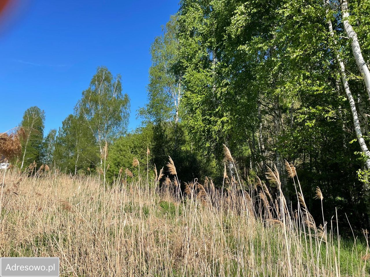 Działka budowlana Katowice Zarzecze, ul. Kanałowa