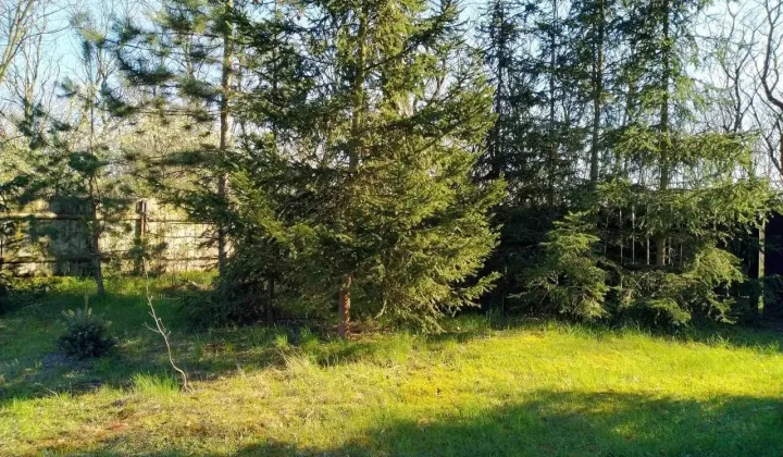 Działka rekreacyjna Biała Podlaska Sidorki, ul. Gruntowa