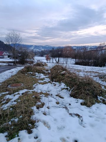 Działka rolna Męcina Bukowiec. Zdjęcie 1