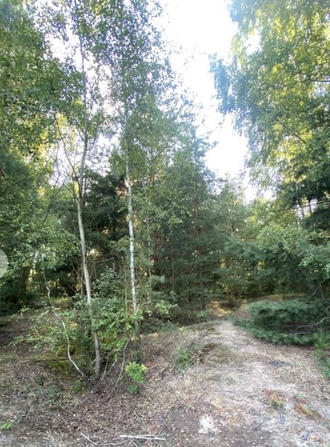 Działka budowlana Niemianowice. Zdjęcie 2