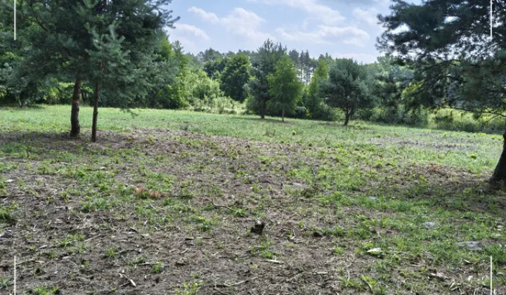 Działka rolna Antoniew, ul. Goździkowa