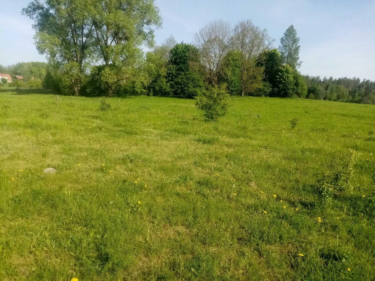 Działka rekreacyjna Mazury. Zdjęcie 5