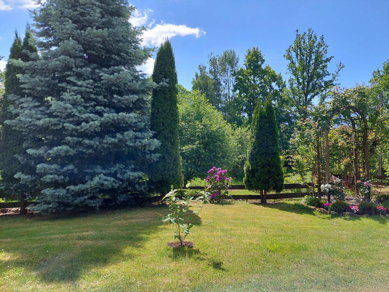 siedlisko, 9 pokoi Mysłakowice, ul. Czerwony Dworek. Zdjęcie 14