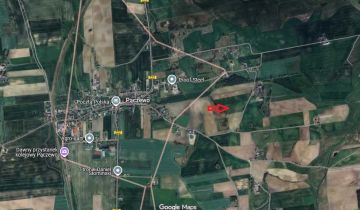 Działka rolna Pączewo