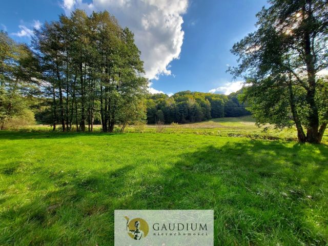 Działka Kobysewo. Zdjęcie 1