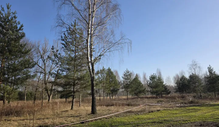 Działka rolno-budowlana Leontyna, Dębowa