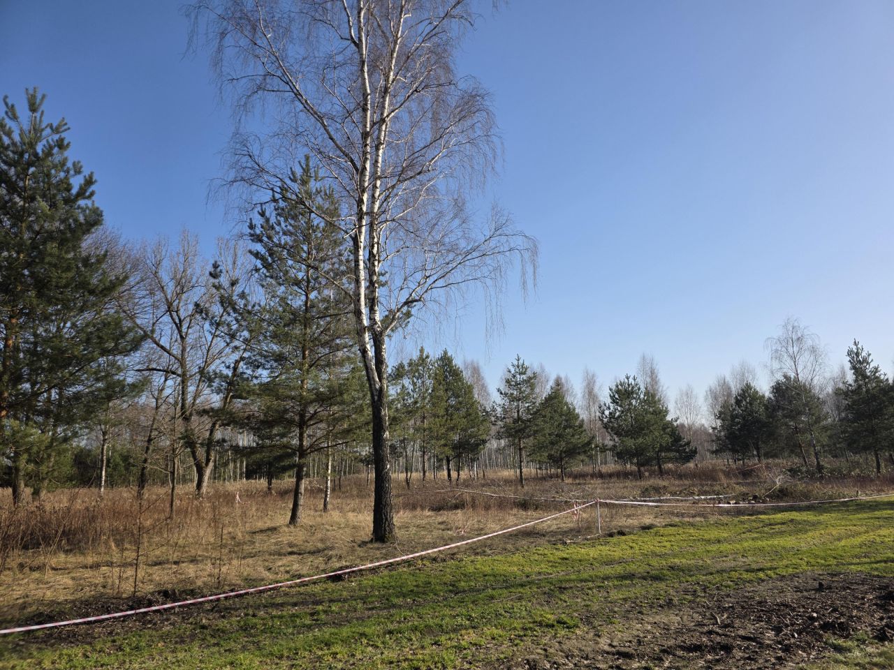 Działka rolno-budowlana Leontyna, Dębowa. Zdjęcie 1