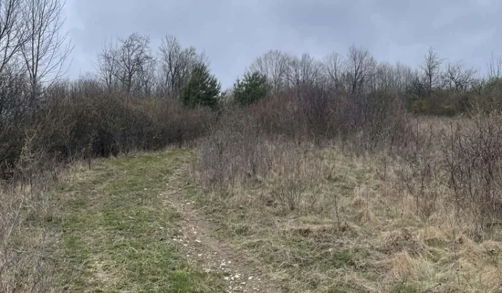 Działka rolna Gorzków Stary