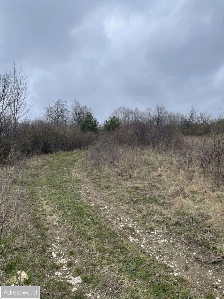 Działka rolna Gorzków Stary. Zdjęcie 1