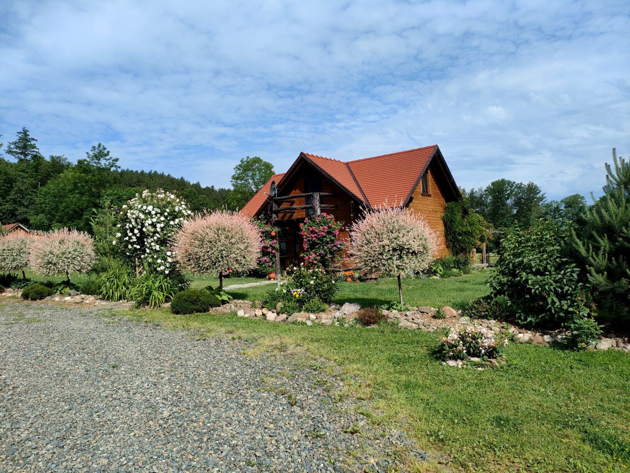 Działka rolno-budowlana Dzierżoniów. Zdjęcie 3