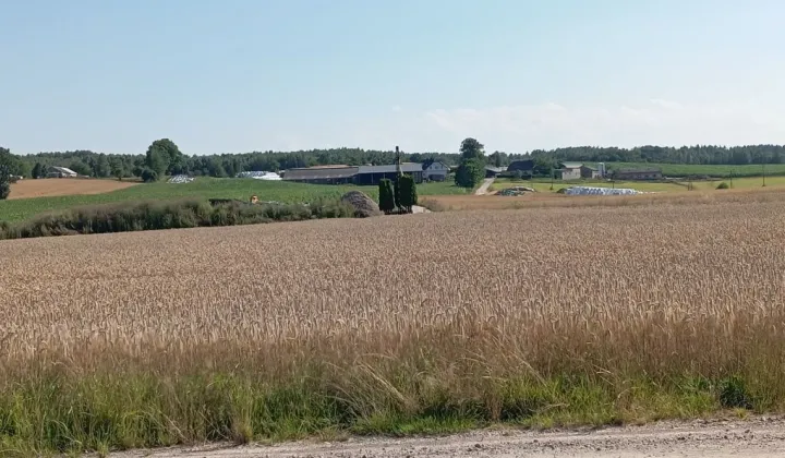 Działka siedliskowa Barłomino, ul. Sampowska