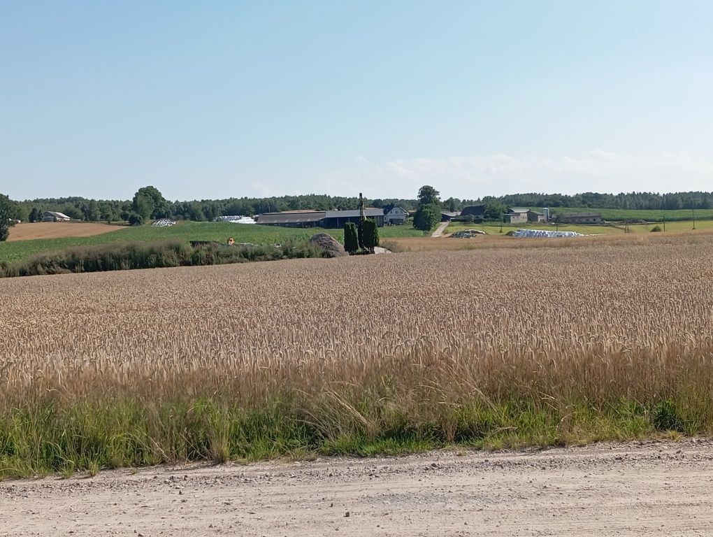 Działka siedliskowa Barłomino, ul. Sampowska. Zdjęcie 1