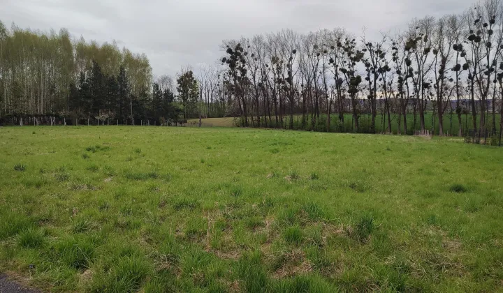 Działka budowlana Andrychów, ul. Krakowska