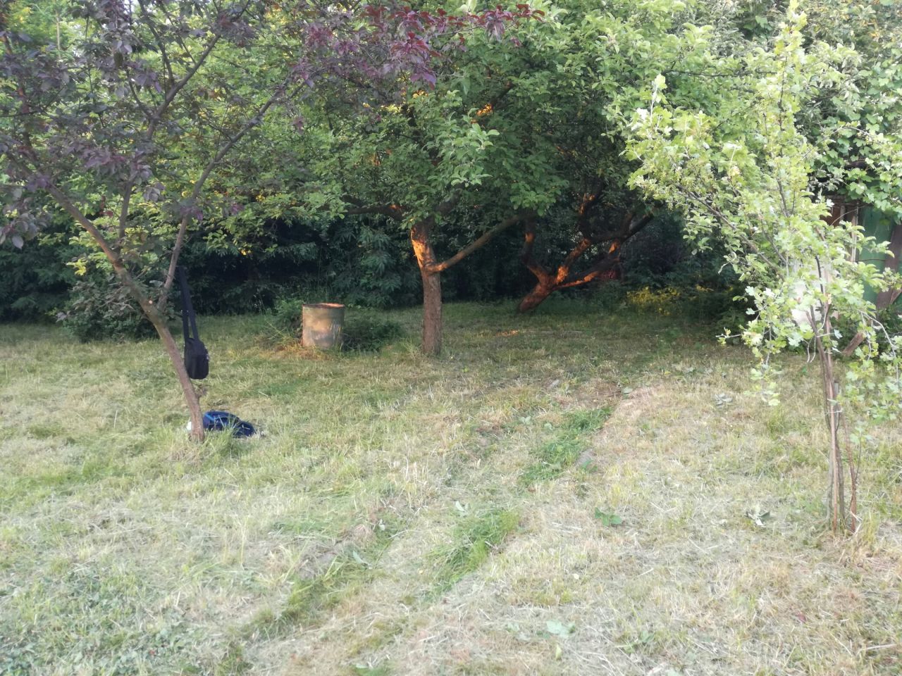 Działka rod Gliwice Śródmieście, ul. Feliksa Orlickiego. Zdjęcie 3