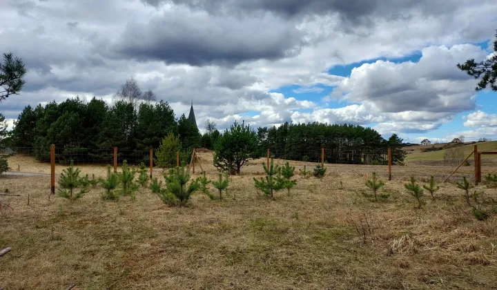 Działka budowlana Czarna Woda Huta Kalna, ul. Jagodowa