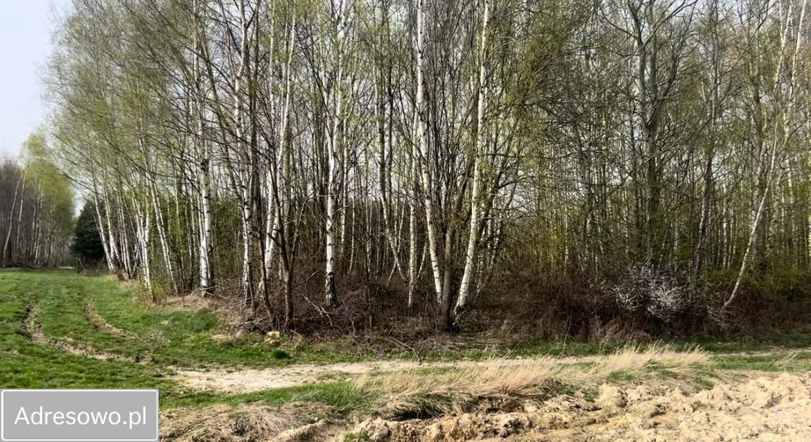 Działka rekreacyjna Baszowice. Zdjęcie 3