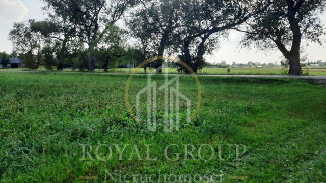 Działka rolna Rudno. Zdjęcie 4