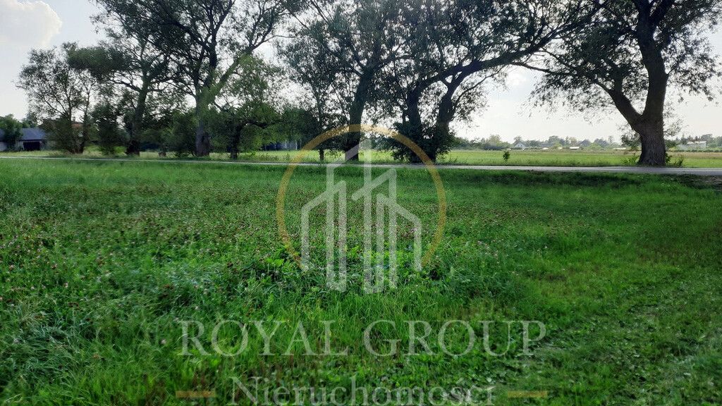 Działka rolna Rudno. Zdjęcie 4