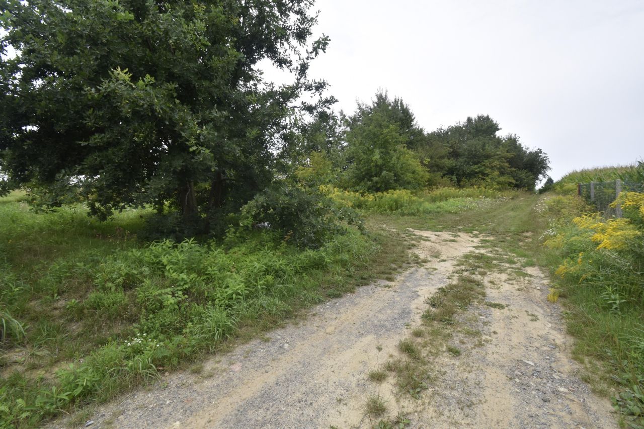 Działka budowlana Szerokie. Zdjęcie 8