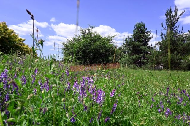 Działka budowlana Rozmierka. Zdjęcie 1