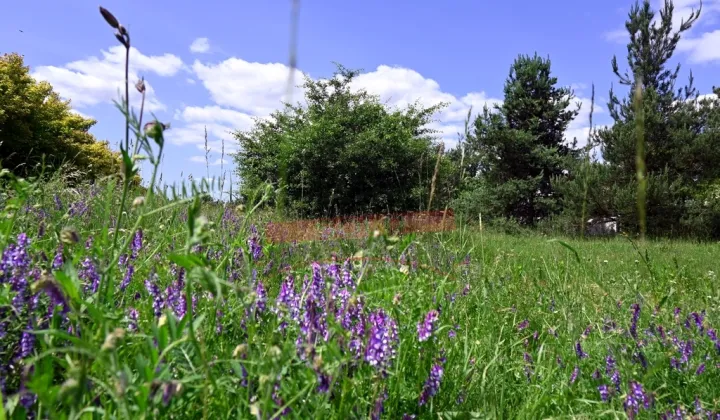 Działka budowlana Rozmierka