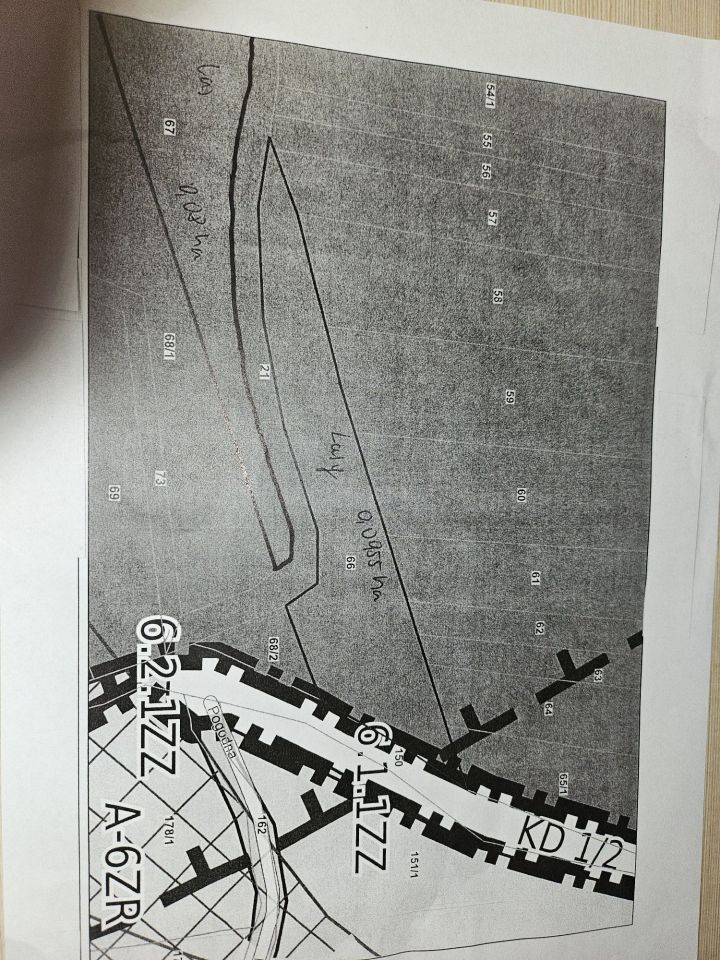Działka leśna Słotwina. Zdjęcie 3