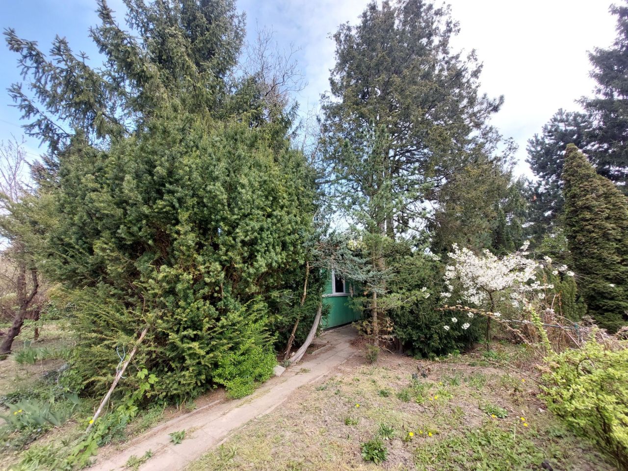 Działka rod Warszawa Mokotów, ul. Augustówka. Zdjęcie 1
