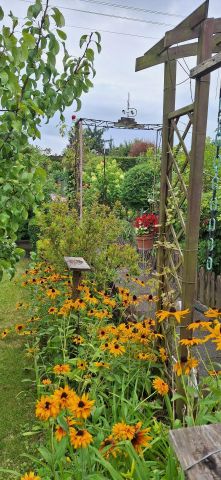 Działka rod Bydgoszcz Szwederowo. Zdjęcie 11