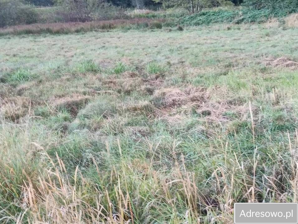 Działka rolna Opole Chmielowice. Zdjęcie 3