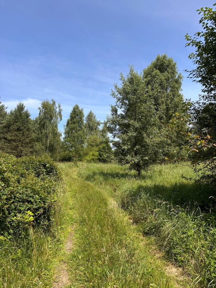 Działka rolna Trzebule. Zdjęcie 8