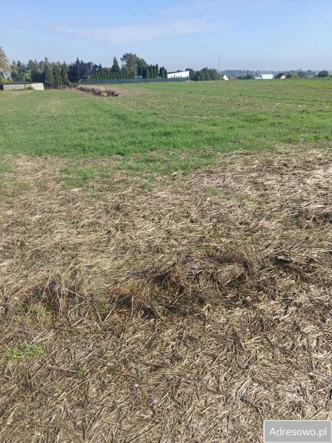 Działka budowlana Piotrówek. Zdjęcie 5