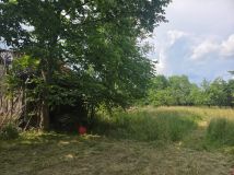 Działka rolno-budowlana Widełka. Zdjęcie 2