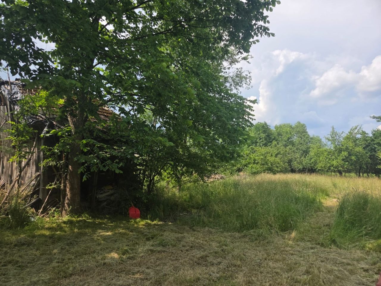 Działka rolno-budowlana Widełka. Zdjęcie 3
