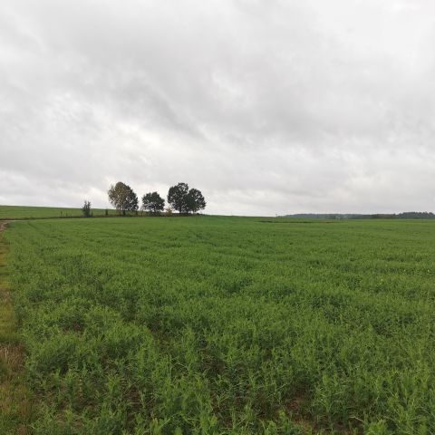 Działka budowlana Łąkie. Zdjęcie 12