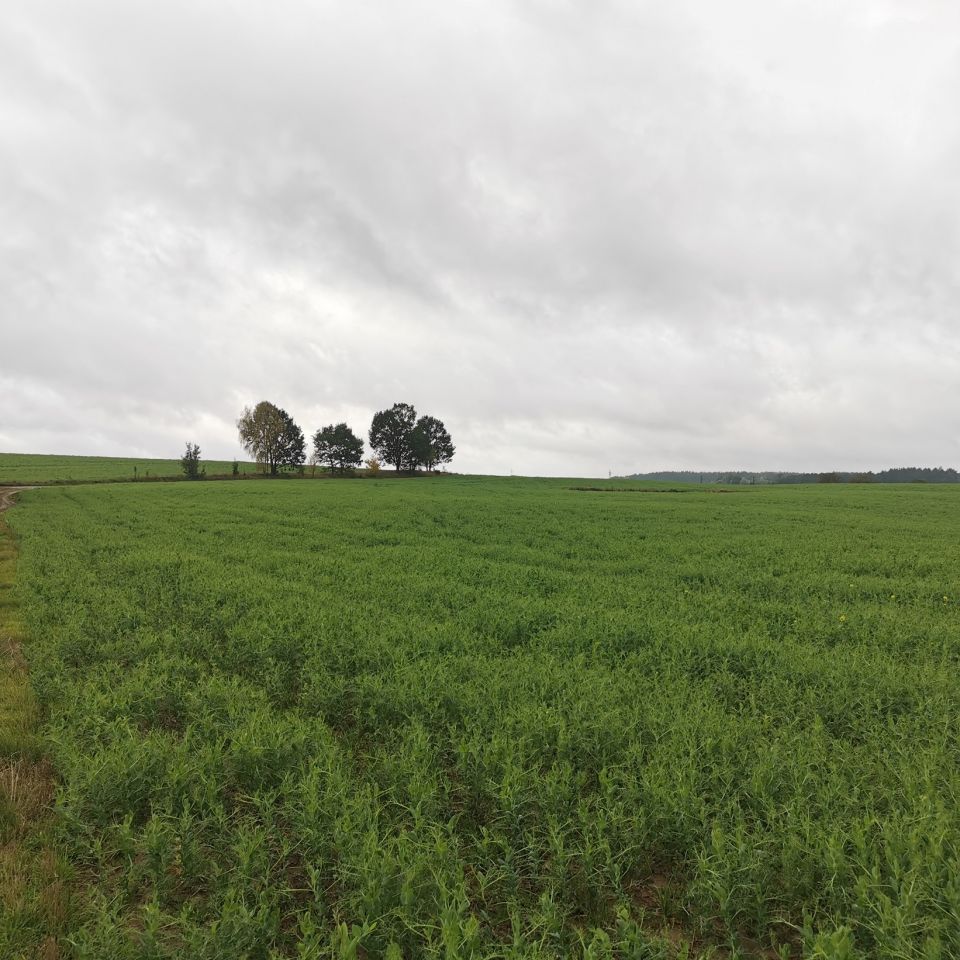 Działka budowlana Łąkie. Zdjęcie 12