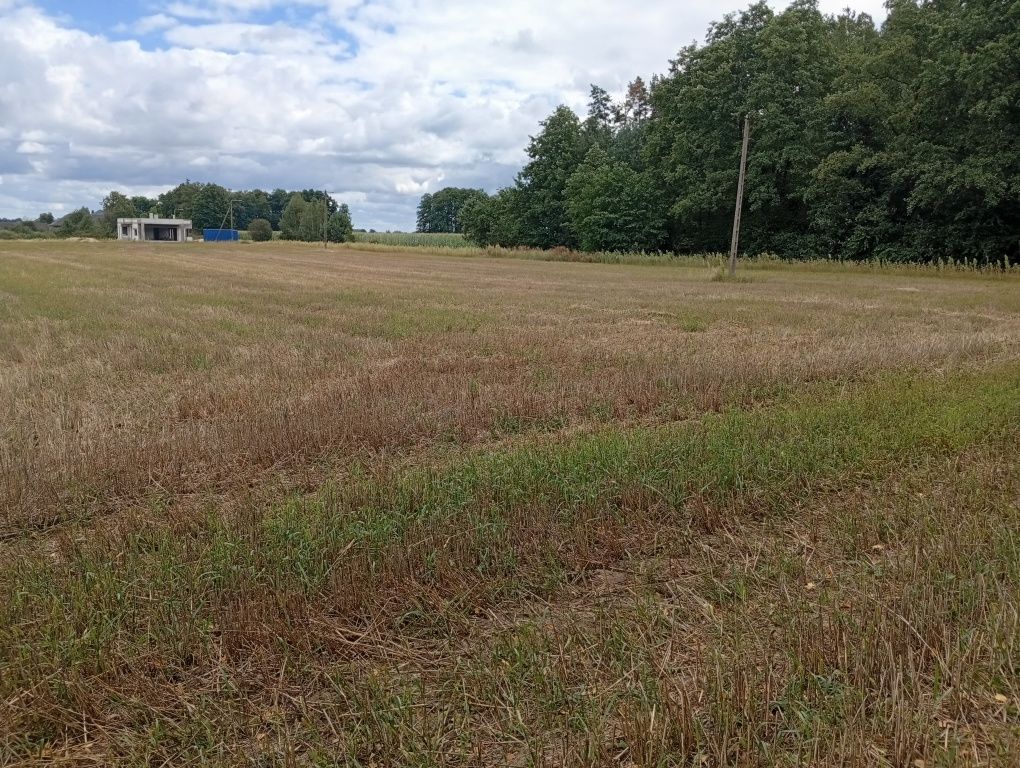 Działka budowlana Kalinowo-Parcele