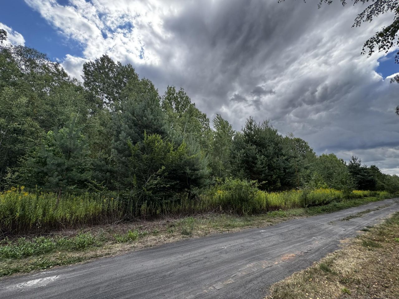 Działka budowlana Nowy Prażmów, ul. Akacjowa. Zdjęcie 6