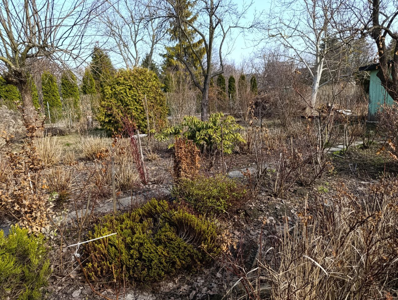 Działka rod Warszawa Włochy, ul. Sasanki. Zdjęcie 12