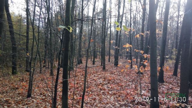 Działka inna Mysłowice Wesoła, ul. Zacisze. Zdjęcie 2