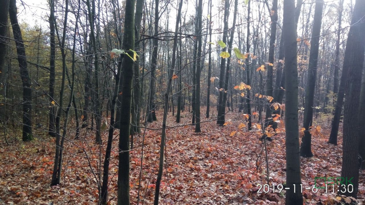Działka inna Mysłowice Wesoła, ul. Zacisze. Zdjęcie 2