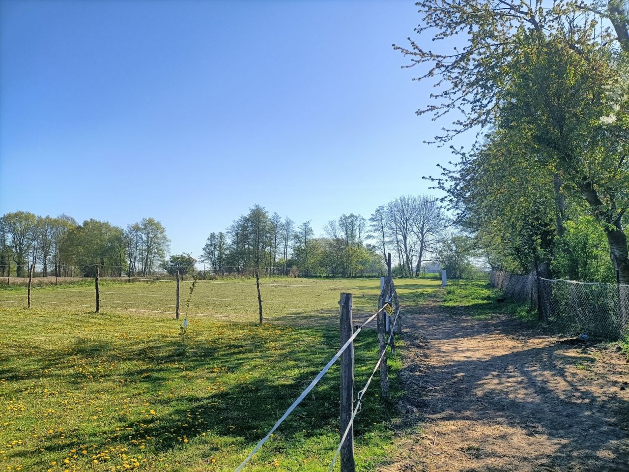 Działka budowlana Krzycko Małe. Zdjęcie 2