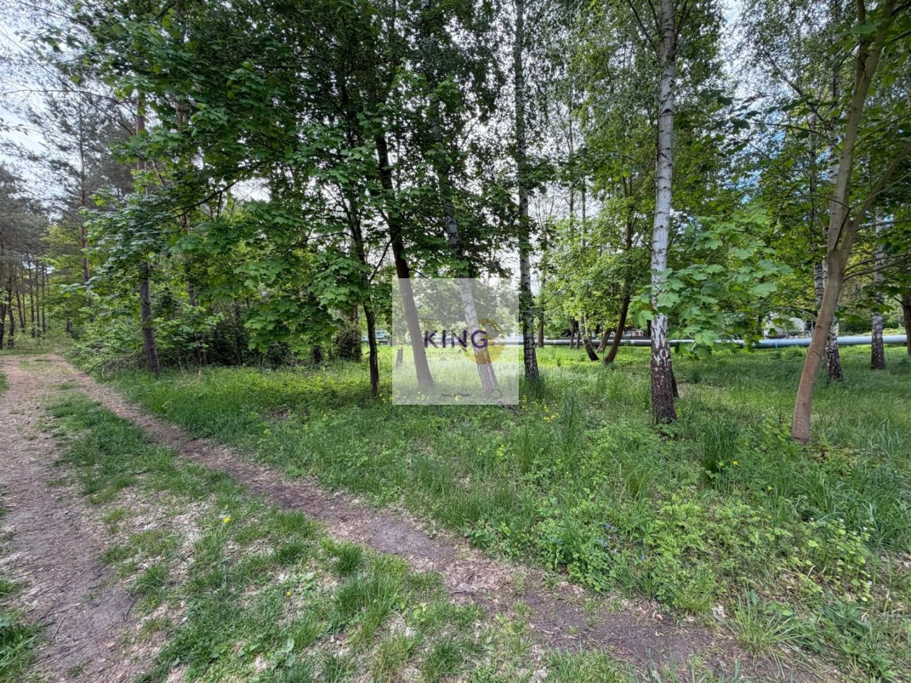 Działka rekreacyjna Nowe Czarnowo. Zdjęcie 6