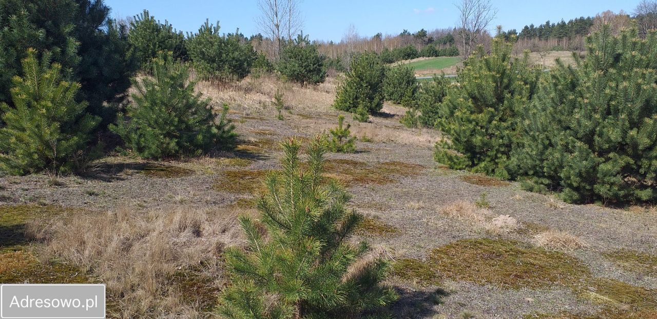 Działka budowlana Krzyżówki. Zdjęcie 8