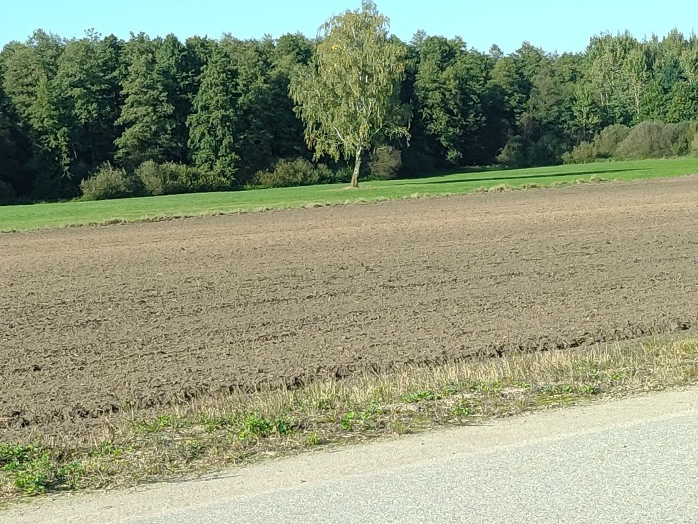 Działka budowlana Rodzone. Zdjęcie 8