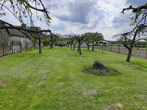 Działka rolno-budowlana Nowy Dwór. Zdjęcie 1