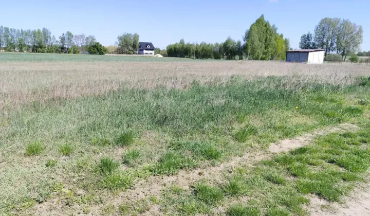 Działka budowlana Cegielnia