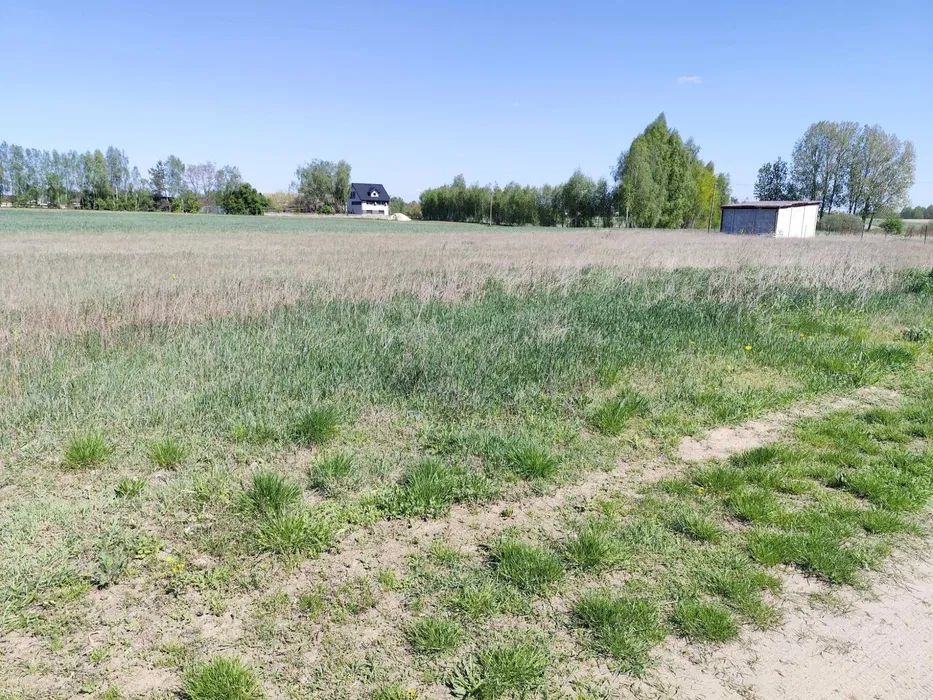 Działka budowlana Cegielnia