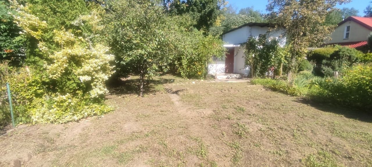 Działka rod Klucze. Zdjęcie 4